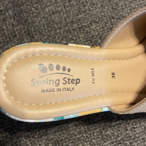 Spring Step Platform Slides - Picture 2 of 4